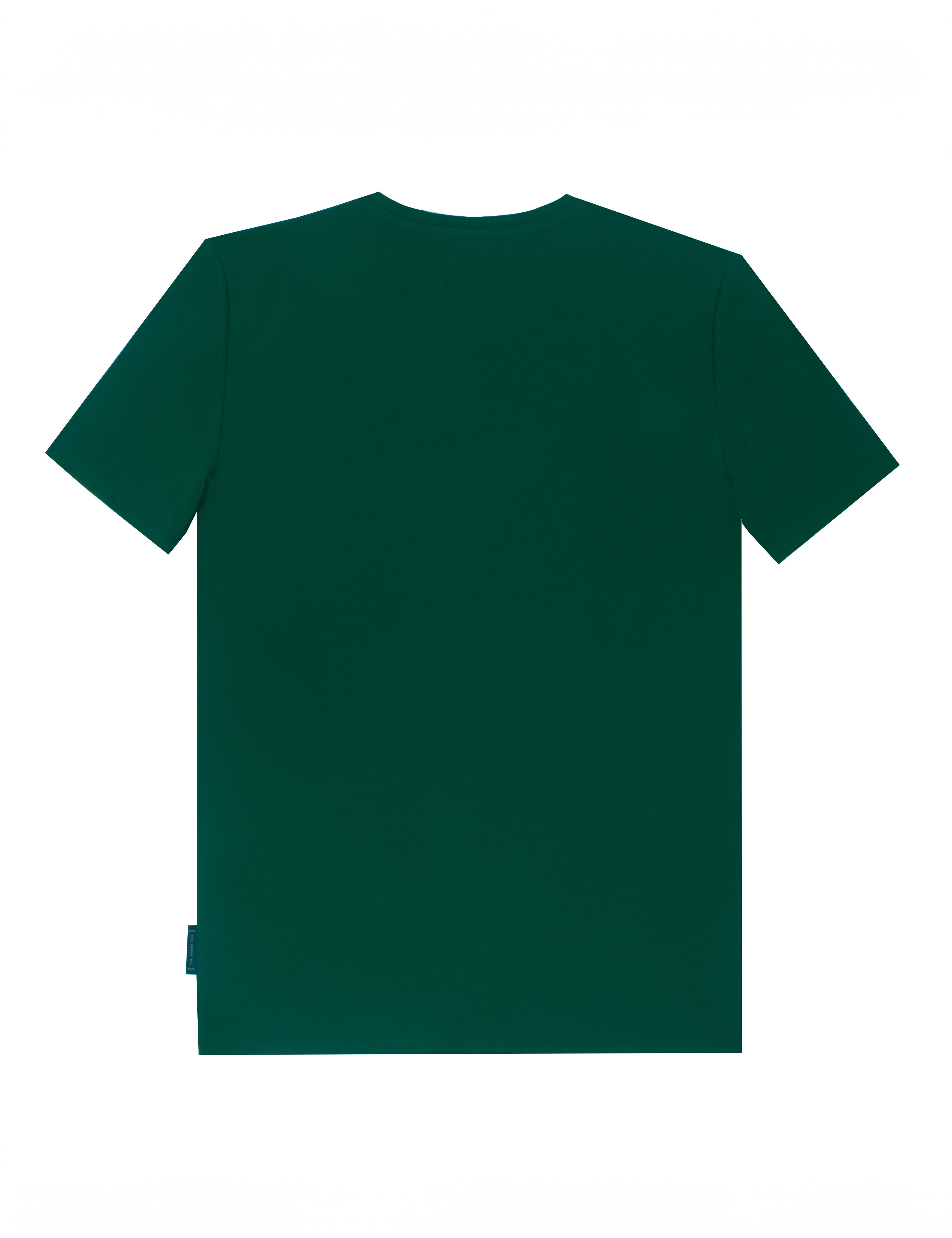Organic and Pima Cotton V Neck T-Shirt