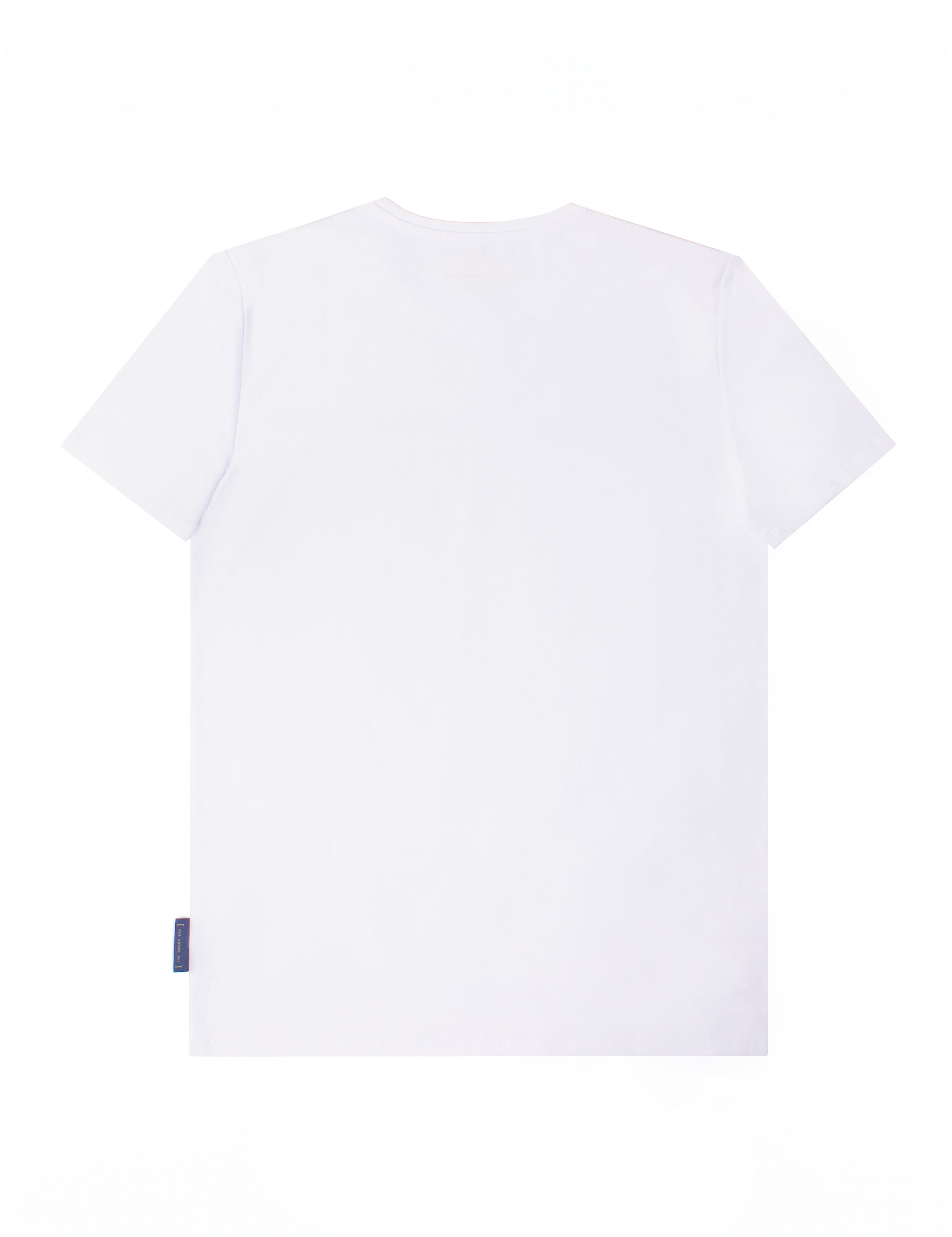 Organic and Pima Cotton V Neck T-Shirt